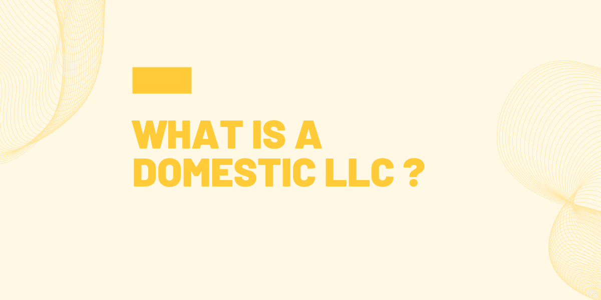 what is a domestic llc