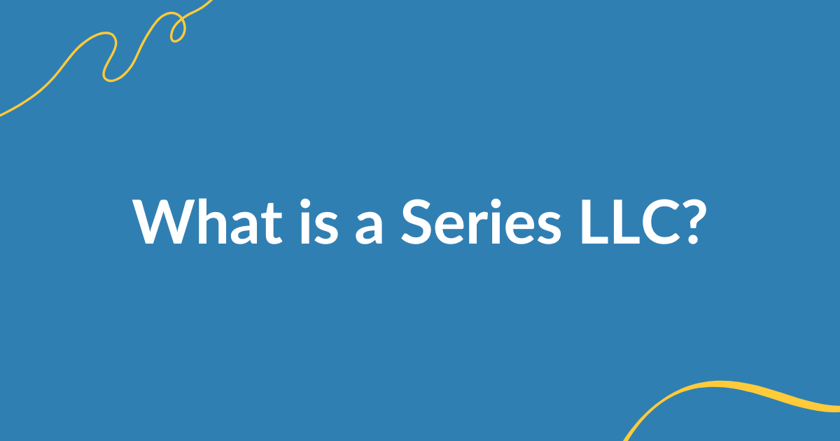 series llc guide