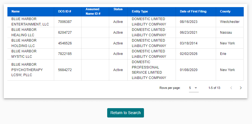 New York Business Search: How to Check an LLC, Corporation, or DOS ID 8 NY business search results list