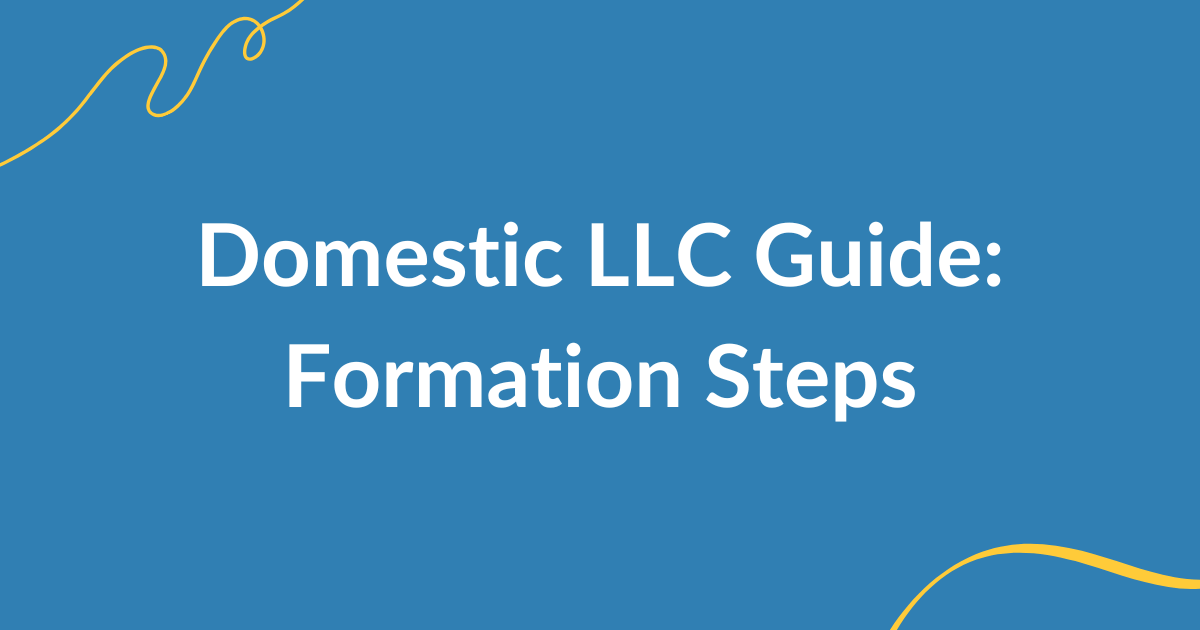 domestic llc guide