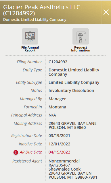 Advanced panel showing Contains, Starts with, and Active entities only filters