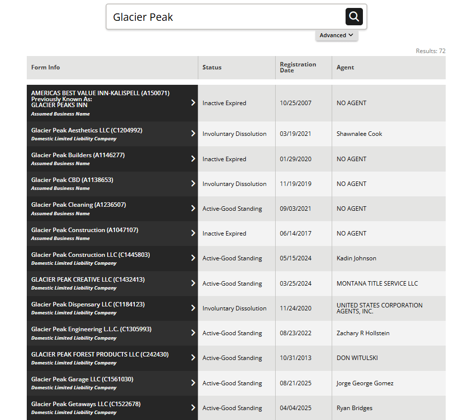Advanced panel showing Contains, Starts with, and Active entities only filters