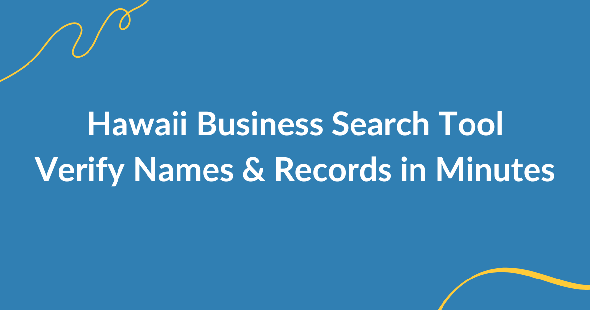 Hawaii business entity search guide with step-by-step instructions