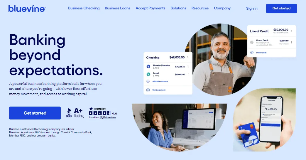 Bluevine business bank account interface