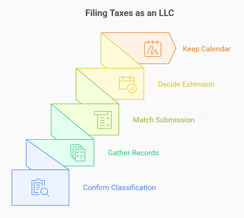 Filing Business Taxes for LLC for the First Time 1 Steps for Filing Taxes as an LLC