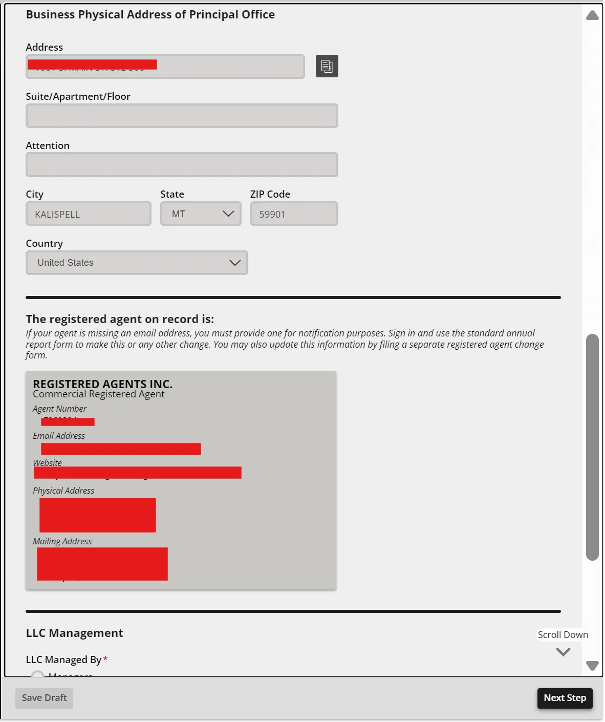 Reviewing Montana LLC annual report information before filing